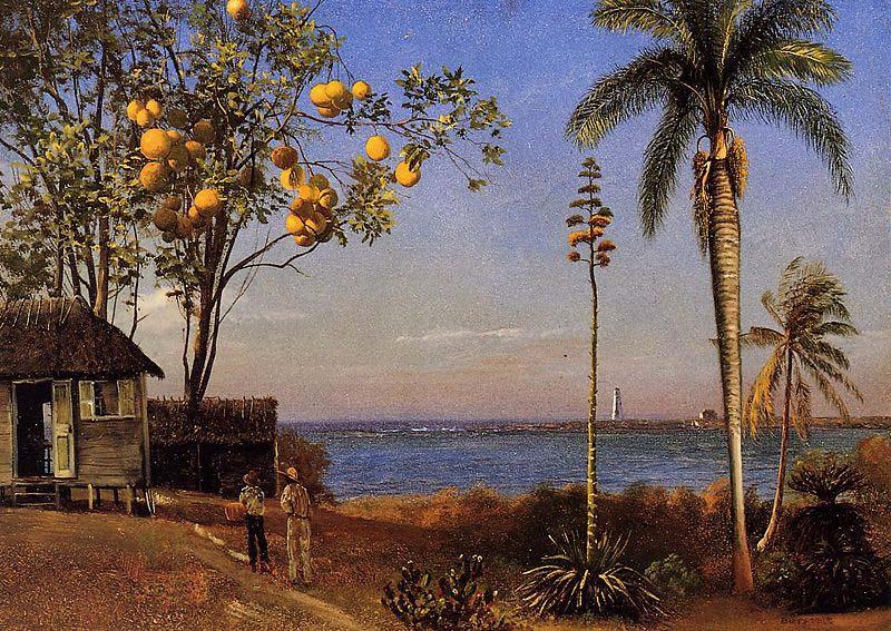 Albert Bierstadt A View in the Bahamas oil painting image